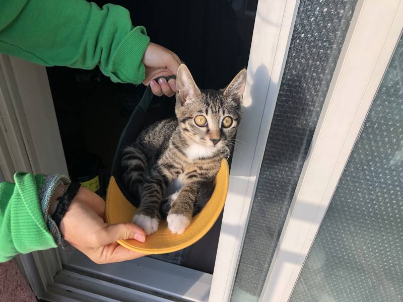 캡모자에 들어간 울 고영이 | 인스티즈