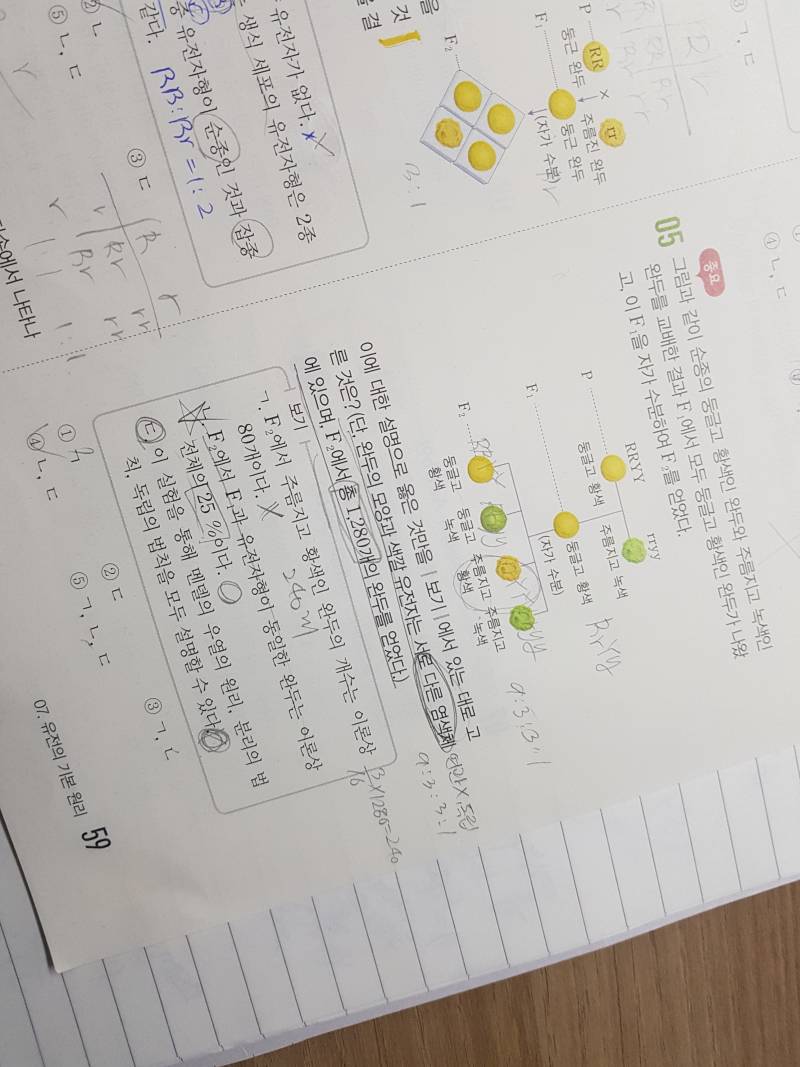 내가 생명 유전을 좀 한다 !!!! 하는 익들 제발 들어와서 알려줘 ㅠㅠㅠㅠ | 인스티즈