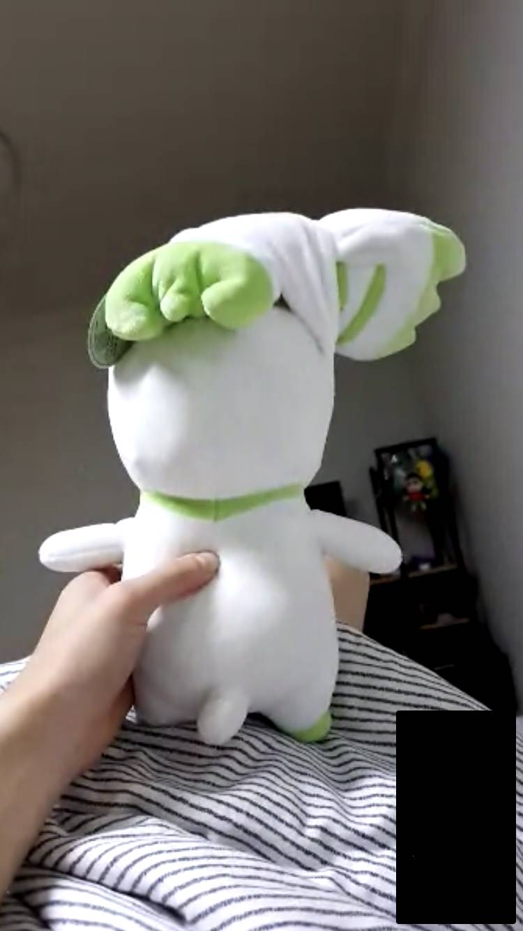 내 남자친구 나랑 장거리인데 ㅋㅋㅋㅋ 인형을 나라 생각하고 있어 ㅋㅋㅋㅋ | 인스티즈