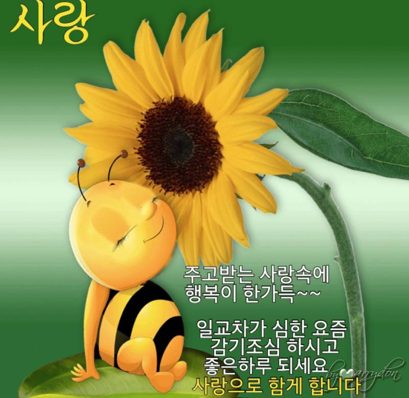 할머니가 자꾸 이런거 보내셔.. | 인스티즈