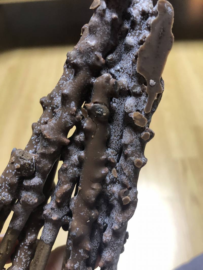 이거 먹어도 될까 ?? | 인스티즈