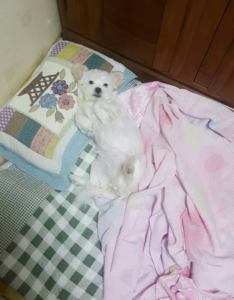 방금 전에 엄마방에 들어갔는데 엄마는 없고 | 인스티즈