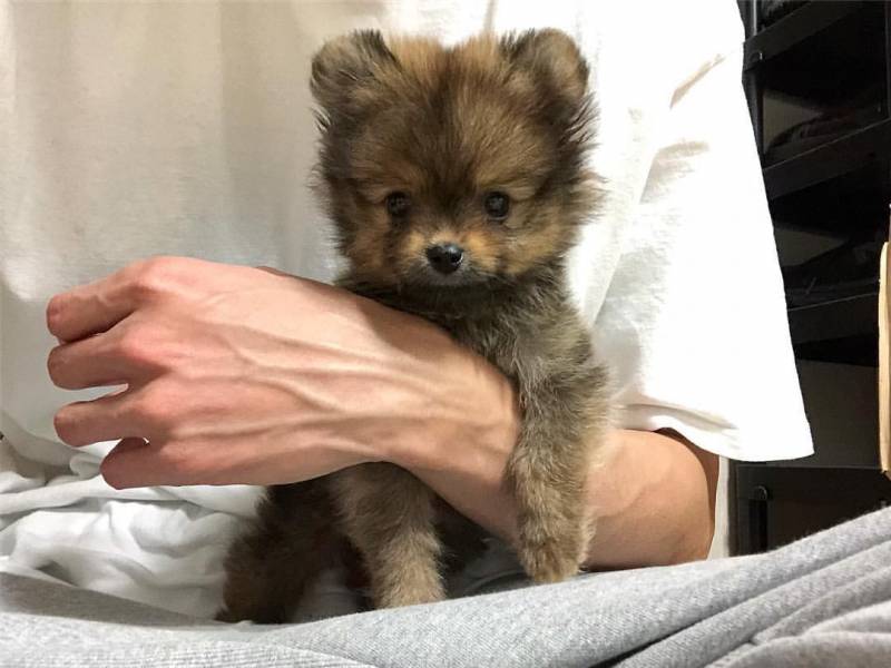 🚨다들 이거 알고 인티해??🚨 | 인스티즈