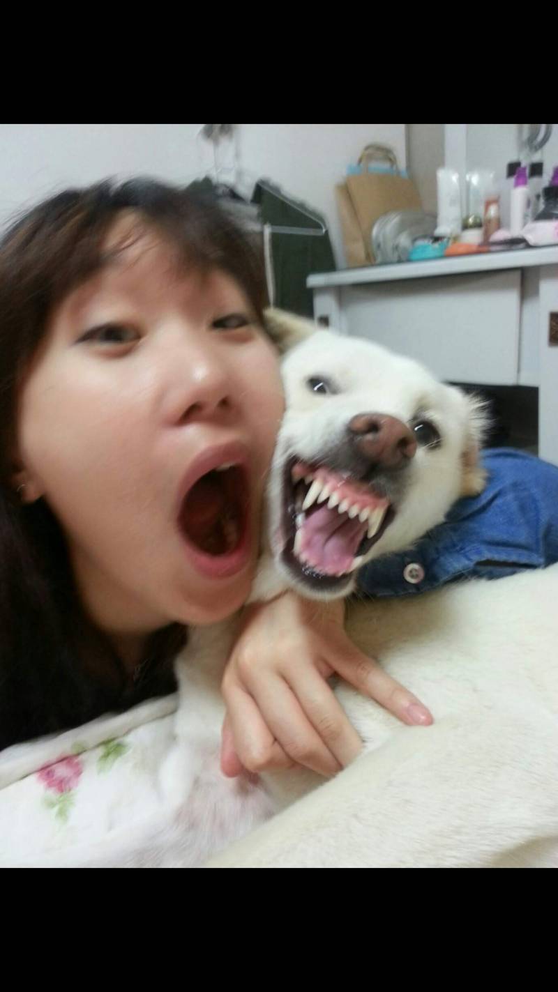 우리집강아지랑 나 대단한사진40ㅋㅋㅋㅋㅋㅋ | 인스티즈