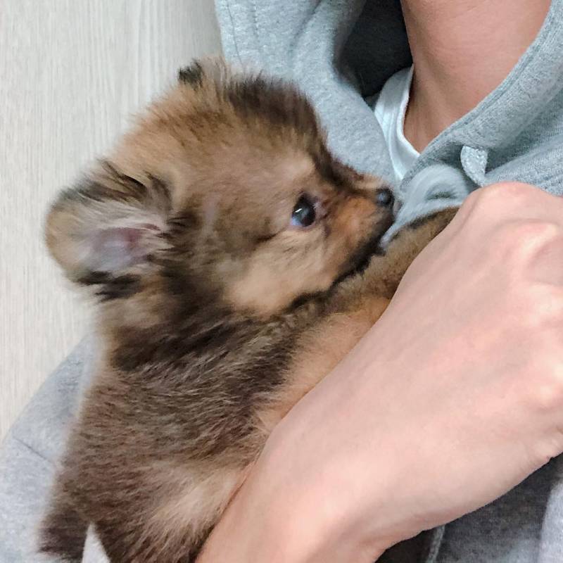 🚨다들 이거 알고 인티해??🚨 | 인스티즈