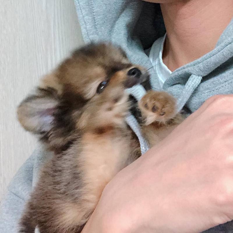 🚨다들 이거 알고 인티해??🚨 | 인스티즈