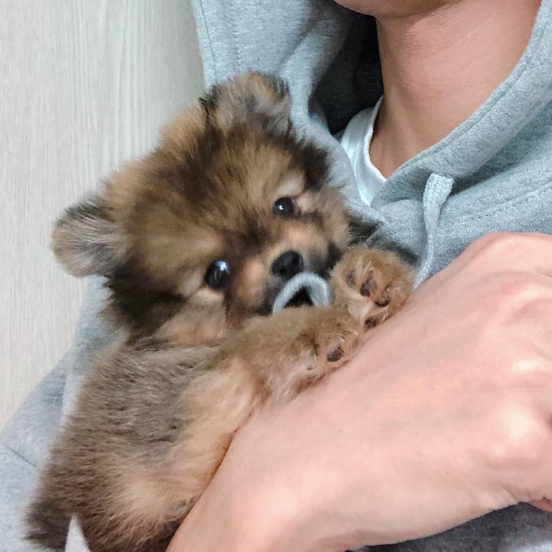 🚨다들 이거 알고 인티해??🚨 | 인스티즈