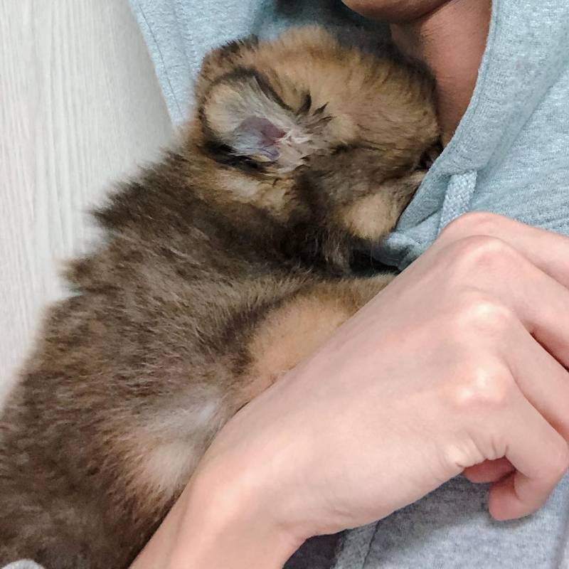 🚨다들 이거 알고 인티해??🚨 | 인스티즈