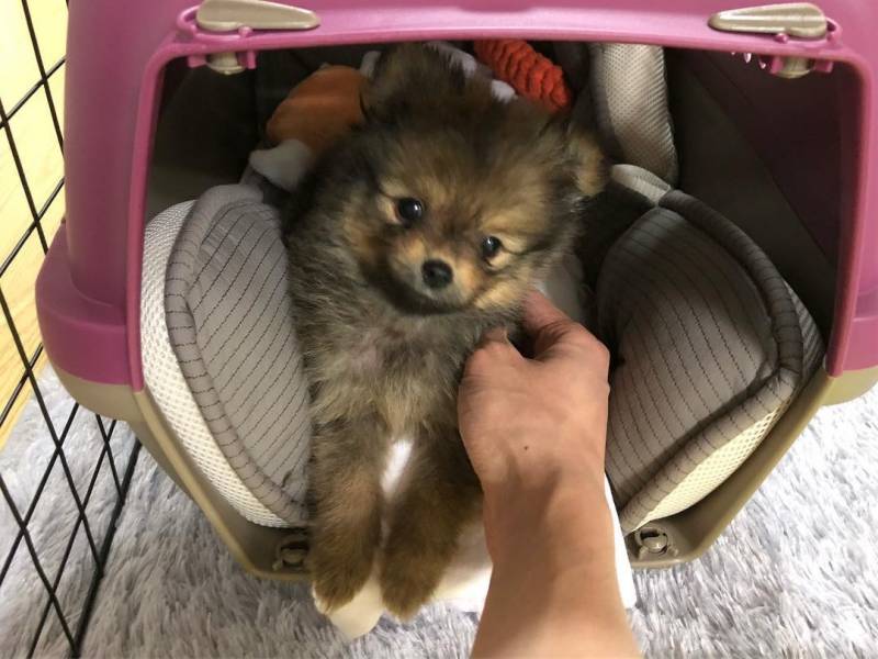 🚨다들 이거 알고 인티해??🚨 | 인스티즈