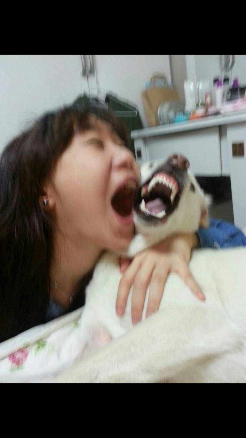 우리집강아지랑 나 대단한사진40ㅋㅋㅋㅋㅋㅋ | 인스티즈