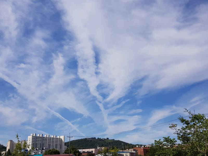 일어나자마자장보러가는듕 | 인스티즈