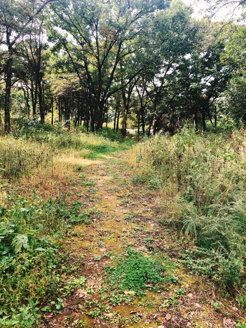 집에서 버스정류장 가는 길ㅋㅋㅋㅋㅋㅋ | 인스티즈