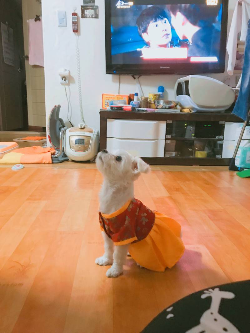 애들아 우리 애기 졸려보이는게 너무 눈에 보이지 않닠ㅋㅋㅋㅋ | 인스티즈