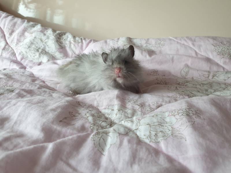 우리 집 청일점의 귀여움을 쬐끔맛 맛보고 가라! | 인스티즈