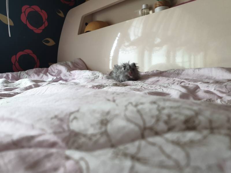 우리 집 청일점의 귀여움을 쬐끔맛 맛보고 가라! | 인스티즈