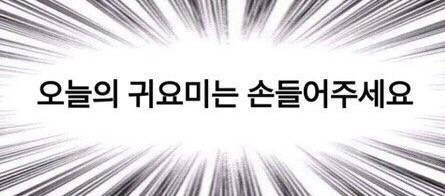 솔직히 쓰니 귀여운건 익인이들 다 알고 있으니까 | 인스티즈