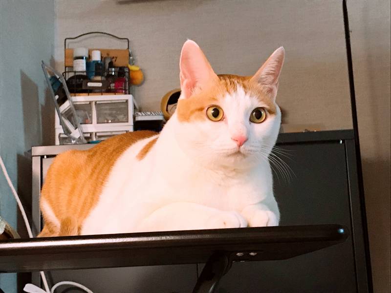 혼자살기 2일차 밥상 40 | 인스티즈