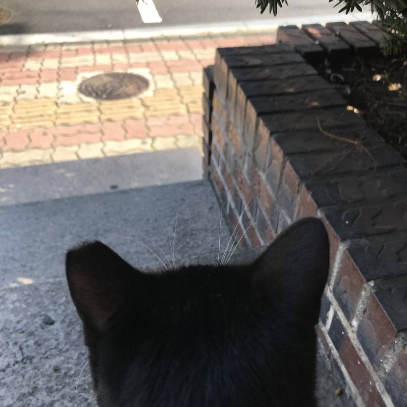 귀여운 거 보여줄까 ㅎㄹㅎㅎ | 인스티즈