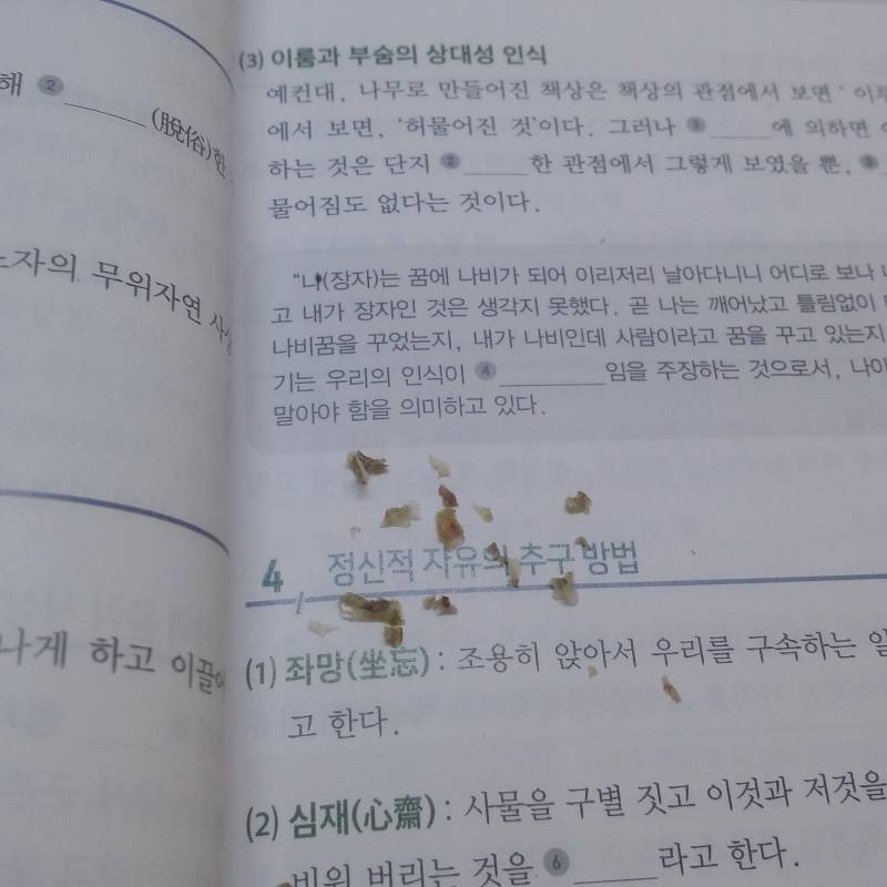 아스팔트에수 넘어져서 살껍질이 들떴ㄴ디 상처좀봐줄수있응까(혐오주의) | 인스티즈