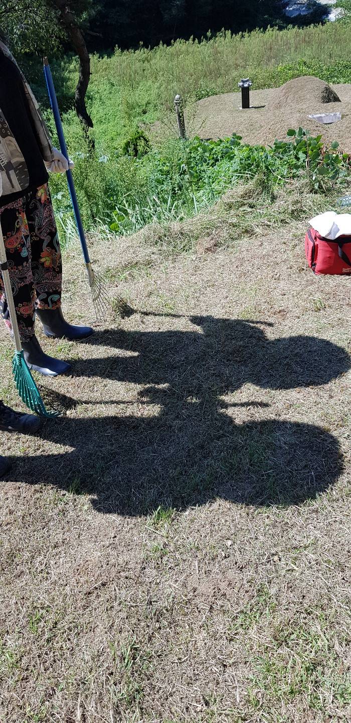 이거 벌초가서 찍은 사진인데 완전웃김 빨리 봐줘 ㅜ ㅋㅋㅋㅋ 40 | 인스티즈