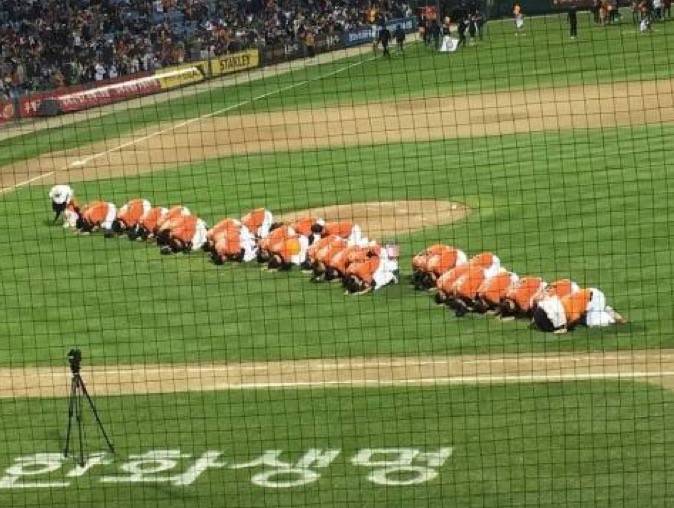 연어초밥 | 인스티즈