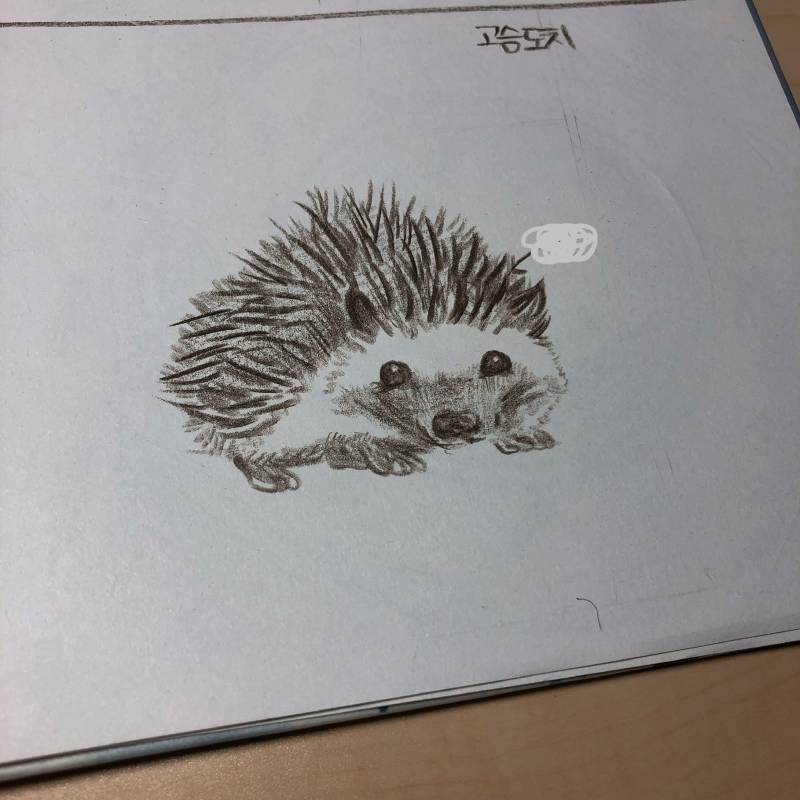 귀여운 고슴도치 ✏ | 인스티즈