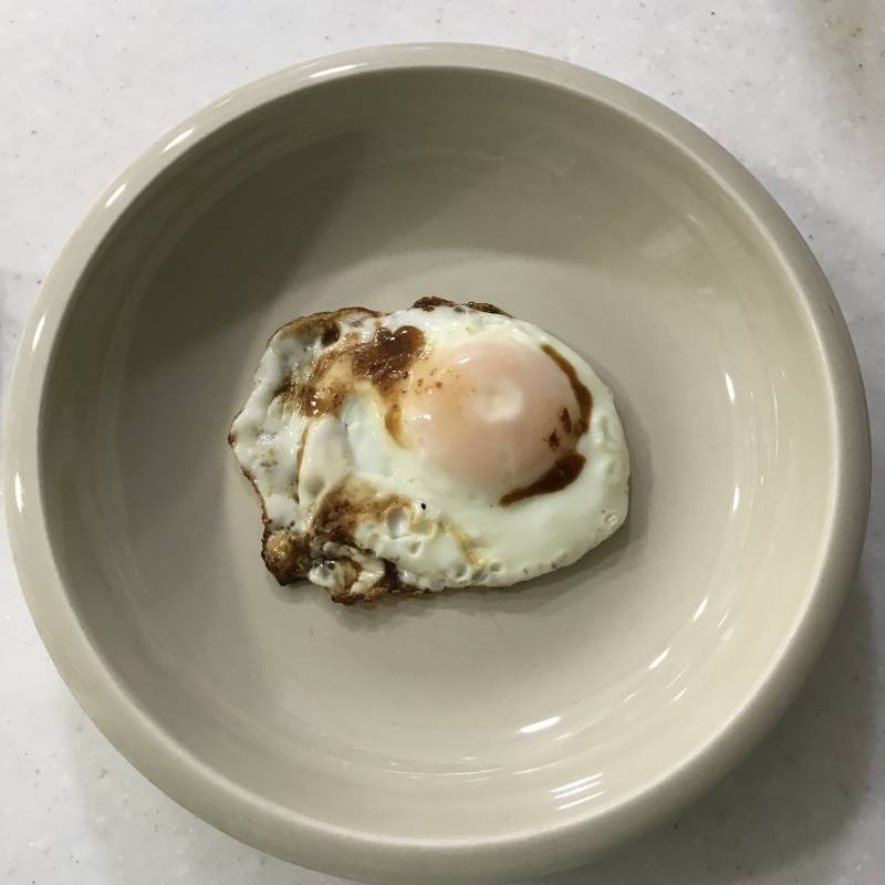 계란 프라이 했다 40 🍳 | 인스티즈