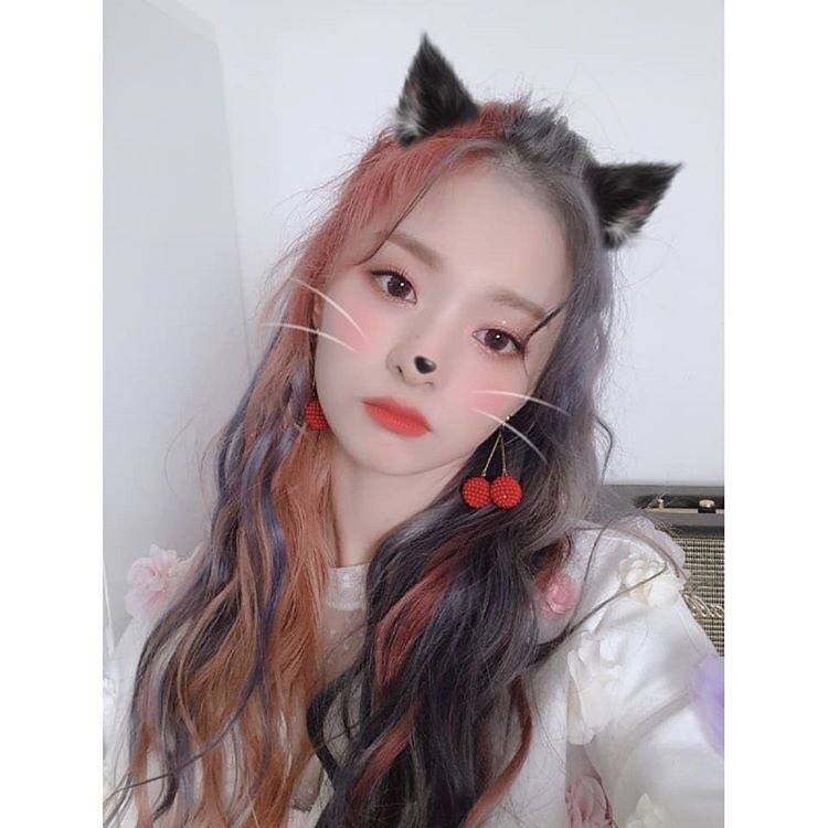 투톤 여자 연예인.jpg+gif | 인스티즈