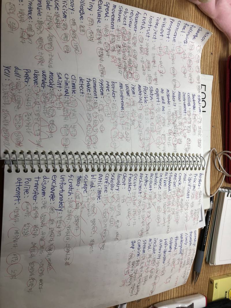 공포자... 오늘 처음으로 단어 100개 외웟습니다... | 인스티즈