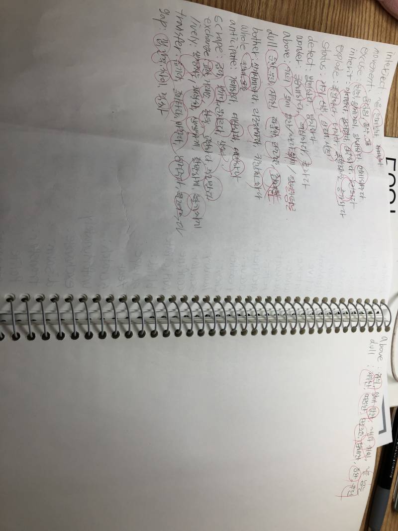 공포자... 오늘 처음으로 단어 100개 외웟습니다... | 인스티즈