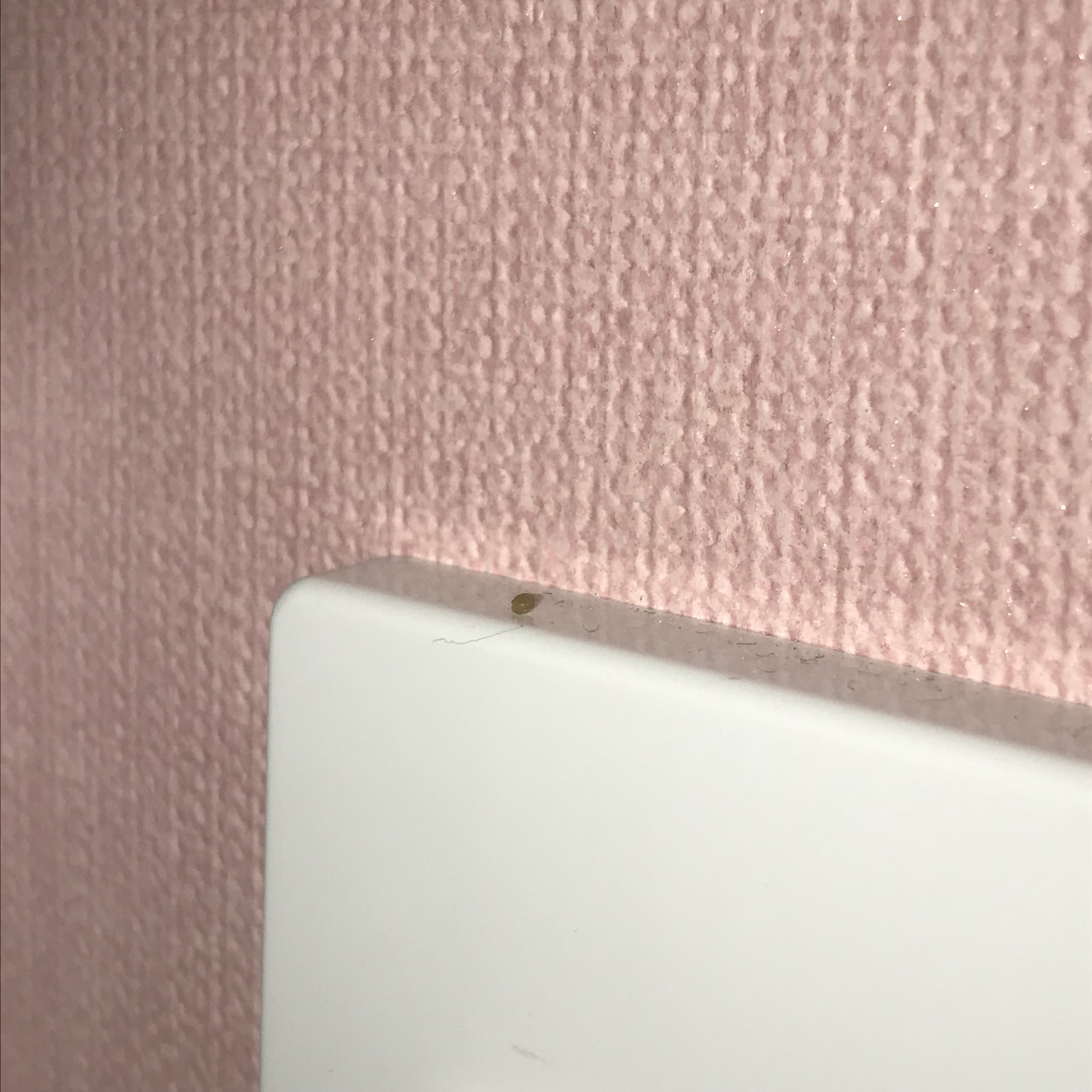 씨앗같은 내 피지 .. | 인스티즈