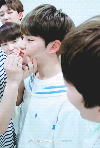 다들 호시 아이돌력 쩌는 끼부리는 애로만 알고있는데 | 인스티즈