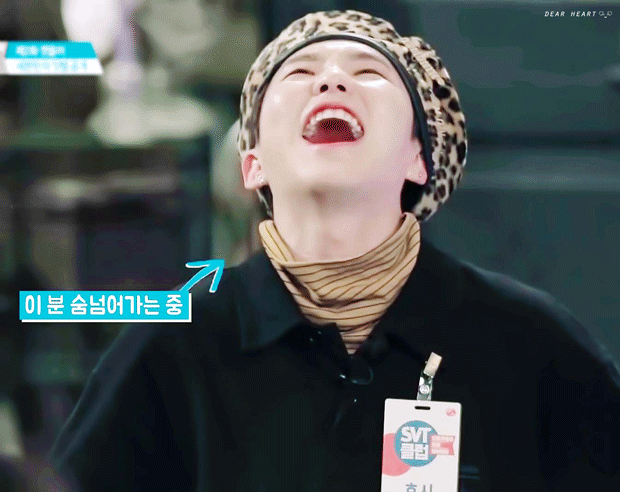 [잡담] 와 호시 완적 쥑?이네 | 인스티즈