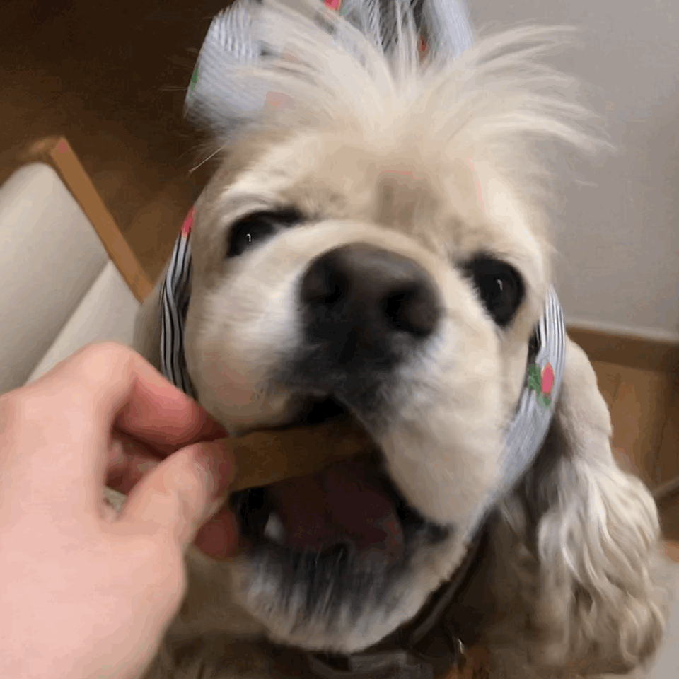 우리 아기 보고 싶어서 어쩌지 40 | 인스티즈