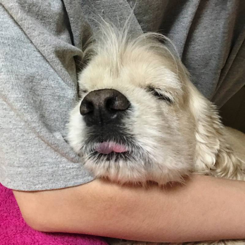 우리 아기 보고 싶어서 어쩌지 40 | 인스티즈