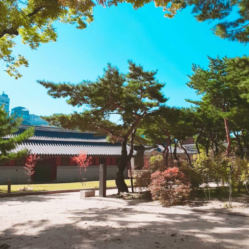 우리회사 입지 조건중 유일하게 마음에 드는 것 40 | 인스티즈