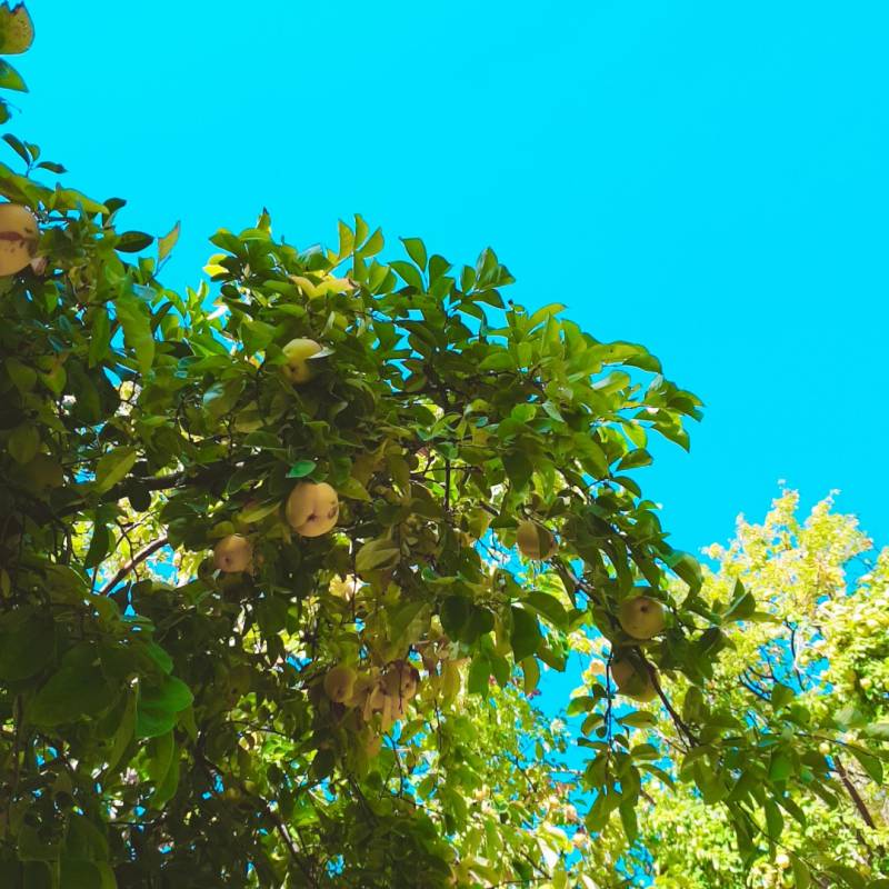 우리회사 입지 조건중 유일하게 마음에 드는 것 40 | 인스티즈