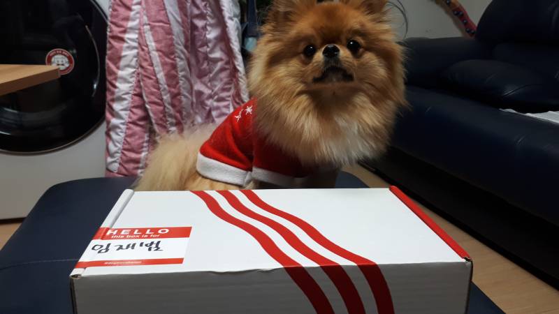 🐶다시돌아온 재범이의 베이컨박스 후기라개🐶 | 인스티즈