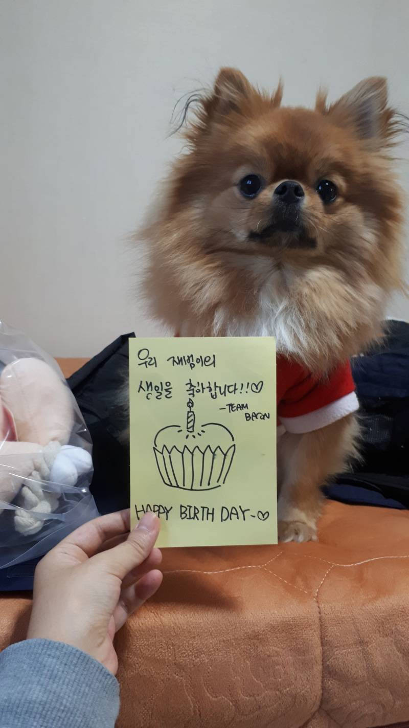 🐶다시돌아온 재범이의 베이컨박스 후기라개🐶 | 인스티즈