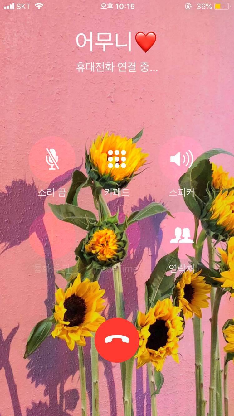 아이폰 전화배경 오류난거 너무 이뻐... | 인스티즈