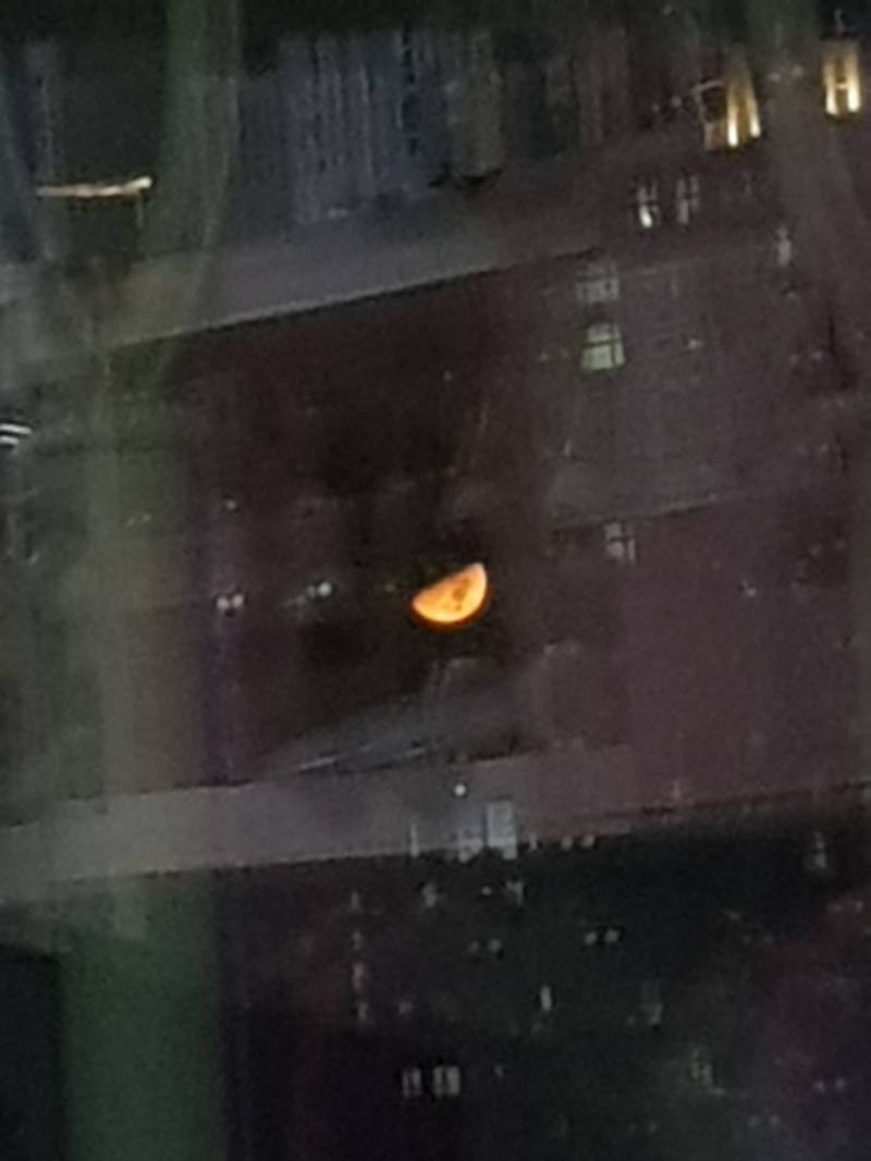 오늘 달 진짜 노랗고 단무지같다 | 인스티즈