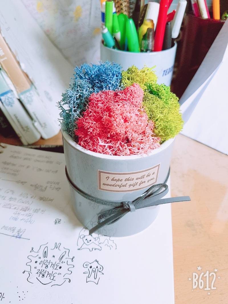 나 오늘부터 이거 키운다 | 인스티즈