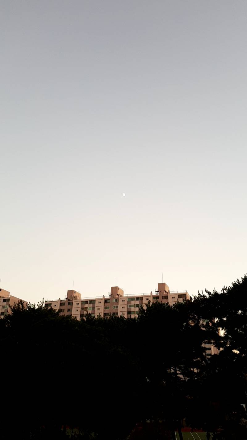 아까 친구 보여주려고 하늘 대충 찍었는데 나름 잘 나온 듯 | 인스티즈