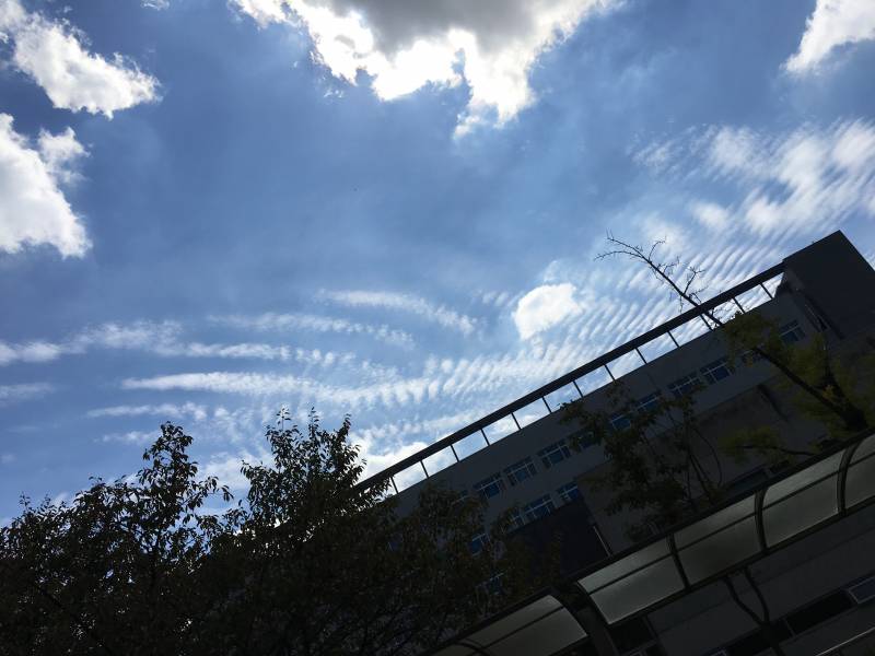 이런것도 지진운이야? | 인스티즈