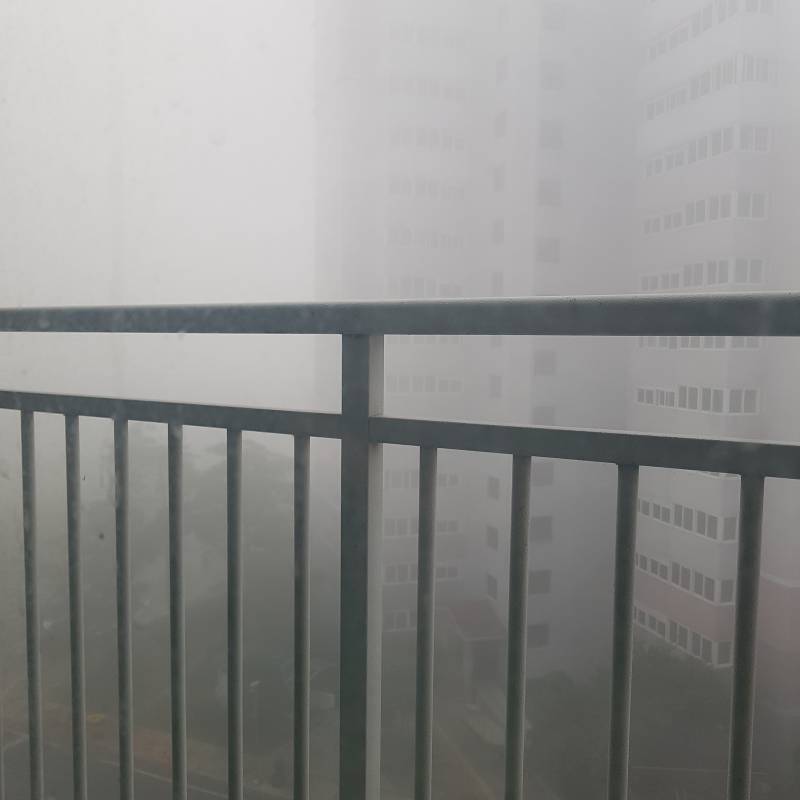 와 깜짝 놀랐다 안개야 미세먼지야... | 인스티즈