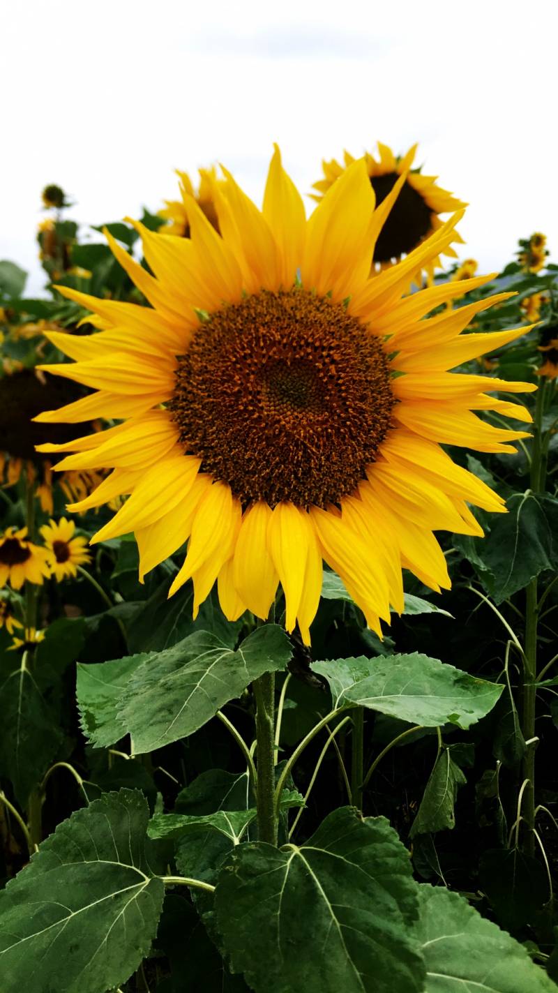 일찍 일어나니 할게 없어 | 인스티즈