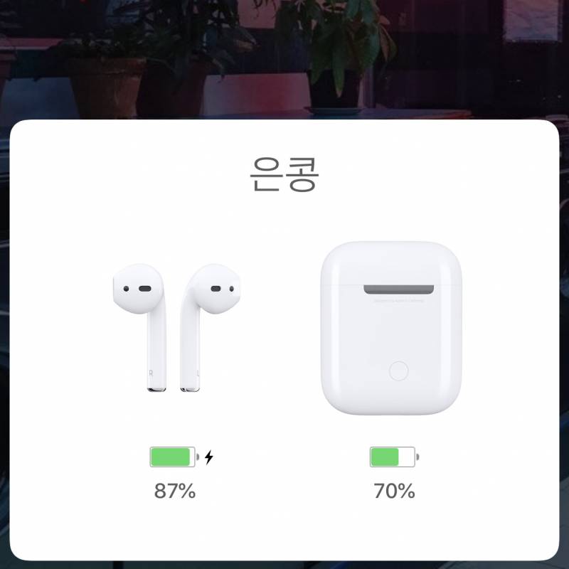 쓰니 에어팟 도착 ♥ 이름 지어줬오 | 인스티즈