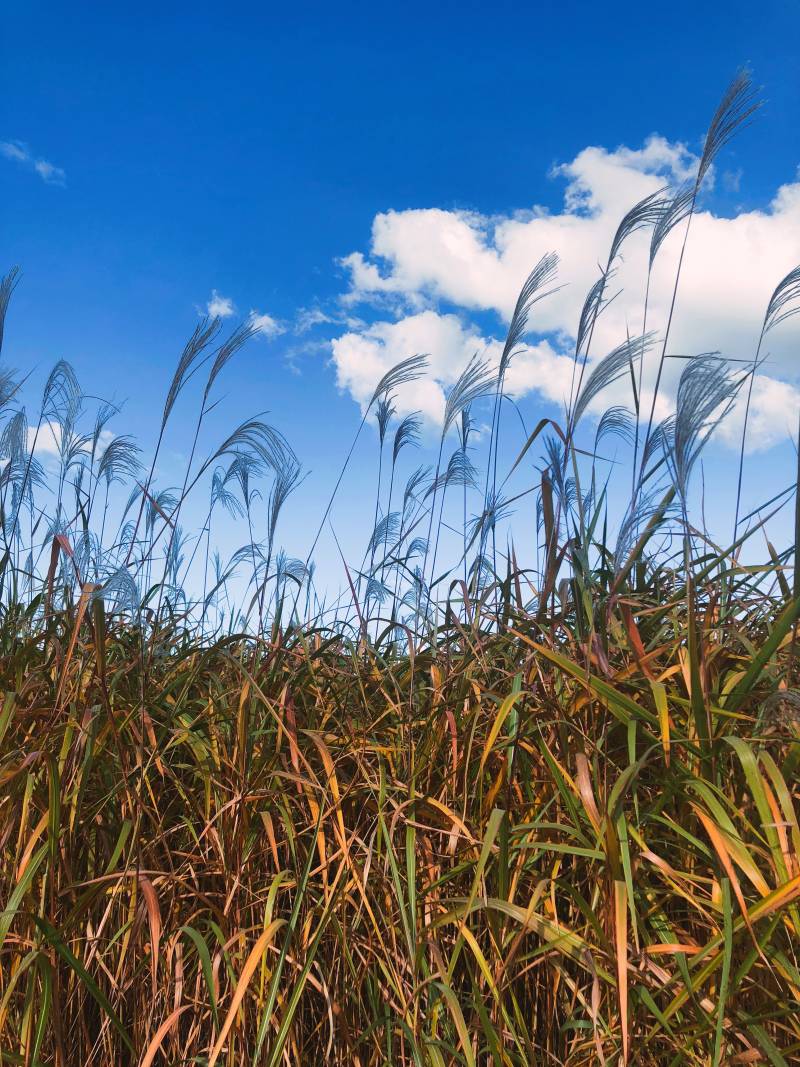 당장 하늘공원와 40 | 인스티즈