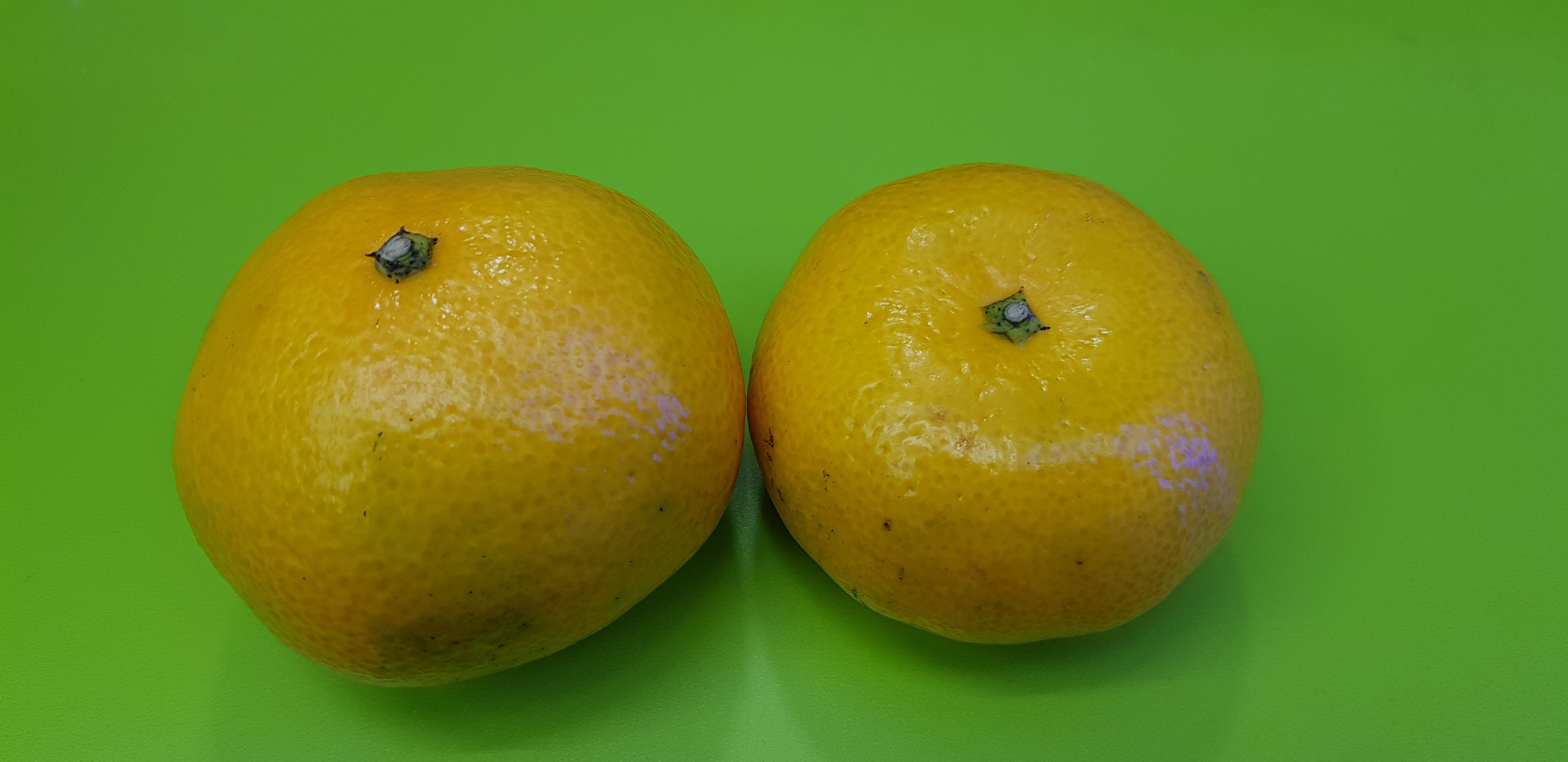 알바할때 좋은점 | 인스티즈