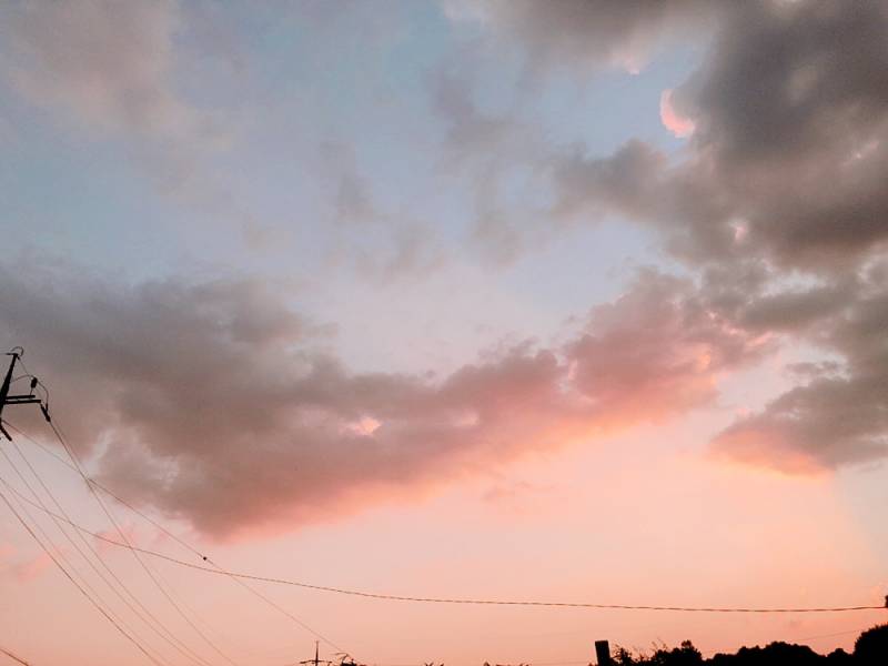 핑크 하늘~ | 인스티즈